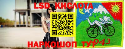 стафф Донской
