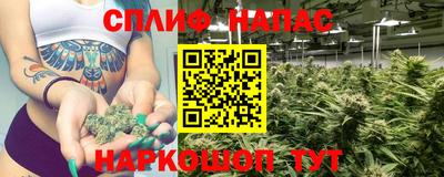 стафф Донской