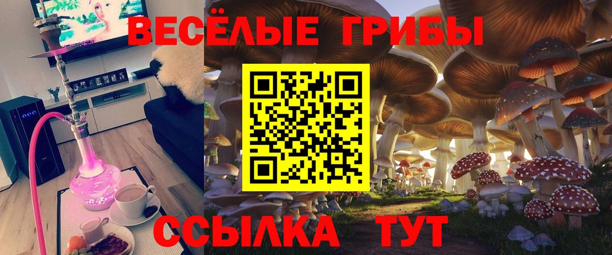 Галлюциногенные грибы Psilocybine cubensis Лосино-Петровский