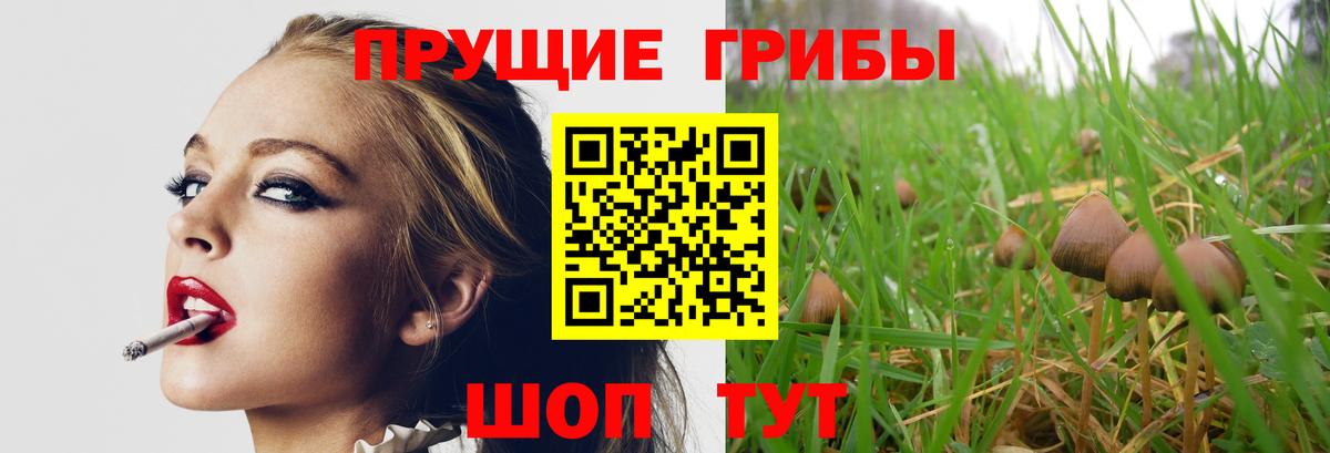 Псилоцибиновые грибы GOLDEN TEACHER  Вход с VPN  Лосино-Петровский 